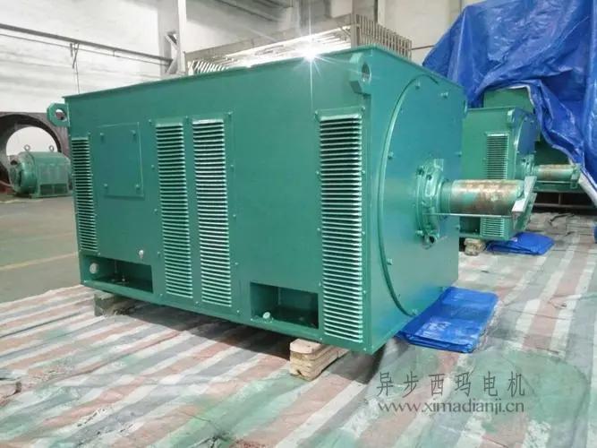 西瑪電機(jī)Y5603-10 560KW <a href=http://www.anquan0755.com/new/new-47-621.html target='_blank'><a href=http://www.anquan0755.com/new_tags_225.html target='_blank'>10kv高壓電機(jī)</a></a>